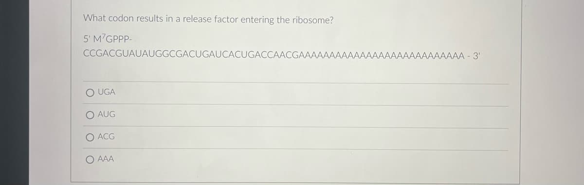 What codon results in a release factor entering the ribosome?
5' M GPPP-
CCGACGUAUAUGGCGACUGAUCACUGACCAACGA
O UGA
O AUG
O ACG
AAA
AAAAAAAA - 3'