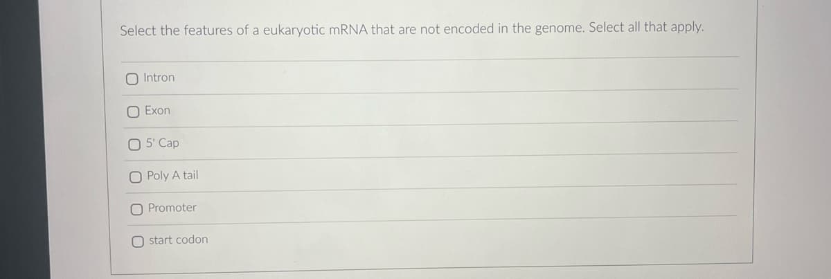 Select the features of a eukaryotic mRNA that are not encoded in the genome. Select all that apply.
O Intron
O Exon
5' Cap
O Poly A tail
Promoter
O start codon