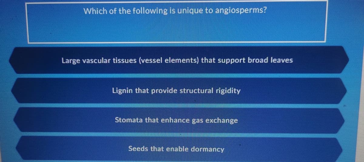 Which of the following is unique to angiosperms?
Large vascular tissues (vessel elements) that support broad leaves
Lignin that provide structural rigidity
Stomata that enhance gas exchange
Seeds that enable dormancy
