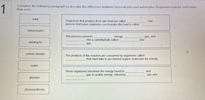 1
Complete the following paragraph to describe the difference between heterotrophs and autotrophs. Responses may be used more
than once.
solar
heterotrophs
autotrophs
carbon dioxide
water
glucose
photosynthesis
Organisms that produce their own food are called
process that some organisms use to make this food is called
This process converts
energy,
into a carbohydrate called
2
and
The products of this reaction are consumed by organisms called
These organisms transform the energy found in
gas to usable energy, releasing
One
gas, and
that must take in pre-formed organic molecules for energy
and
gas and