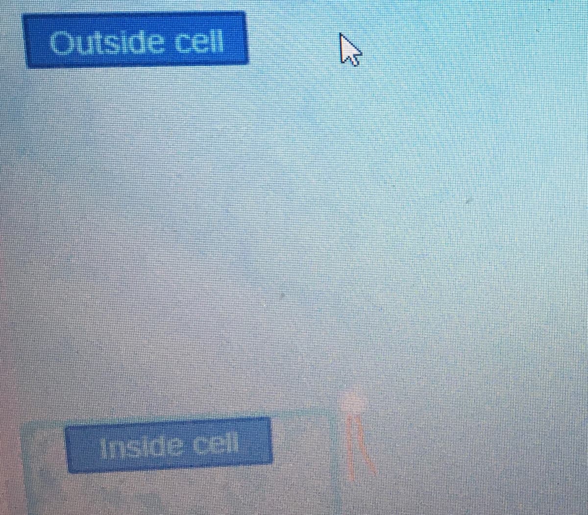 Outside cell
Inside cell
