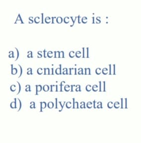 A sclerocyte is :
a) a stem cell
b) a cnidarian cell
c) a porifera cell
d) a polychaeta cell
