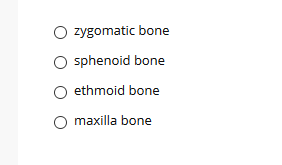 zygomatic bone
O sphenoid bone
ethmoid bone
maxilla bone
