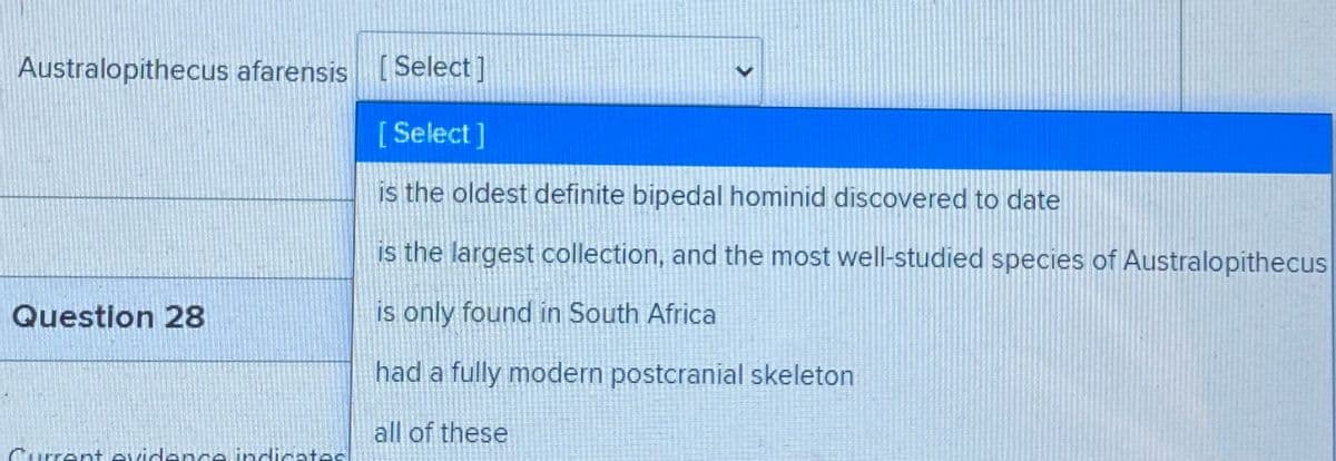 Australopithecus afarensis (Select]
[ Select]
is the oldest definite bipedal hominid discovered to date
is the largest collection, and the most well-studied species of Australopithecus
Question 28
is only found in South Africa
had a fully modern postcranial skeleton
all of these
I en+ svidence indicates
