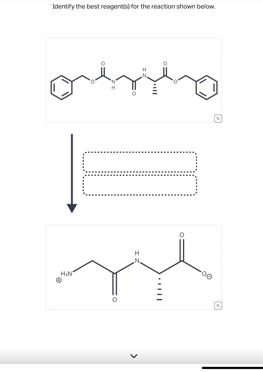 Identify the best reagent(s) for the reaction shown below.
HзN'
H
N.
°
>
H
N
|||| +