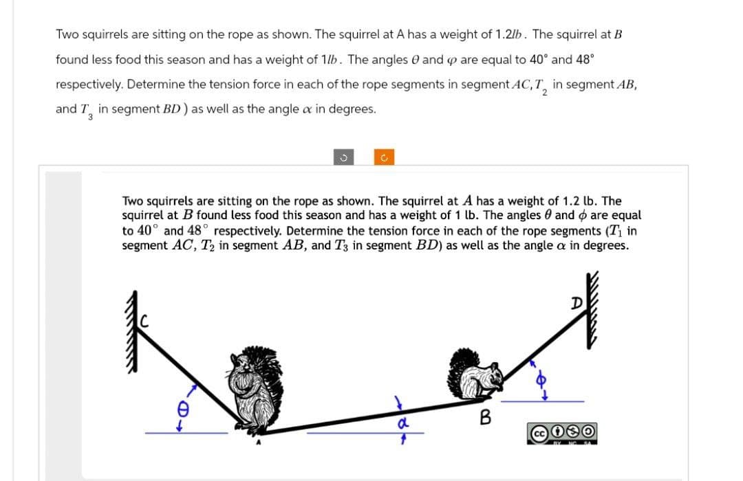 Two squirrels are sitting on the rope as shown. The squirrel at A has a weight of 1.2lb. The squirrel at B
found less food this season and has a weight of 1/b. The angles and are equal to 40° and 48°
respectively. Determine the tension force in each of the rope segments in segment AC, T₂ in segment AB,
and T in segment BD) as well as the angle xx in degrees.
2
3
c
Two squirrels are sitting on the rope as shown. The squirrel at A has a weight of 1.2 lb. The
squirrel at B found less food this season and has a weight of 1 lb. The angles and are equal
to 40° and 48° respectively. Determine the tension force in each of the rope segments (7₁ in
segment AC, T2 in segment AB, and T3 in segment BD) as well as the angle a in degrees.
a
1
B