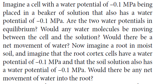 Imagine a cell with a water potential of -0.1 MPa being
placed in a beaker of solution that also has a water
potential of -0.1 MPa. Are the two water potentials in
equilibrium? Would any water molecules be moving
between the cell and the solution? Would there be a
net movement of water? Now imagine a root in moist
soil, and imagine that the root cortex cells have a water
potential of -0.1 MPa and that the soil solution also has
a water potential of -0.1 MPa. Would there be any net
movement of water into the root?
