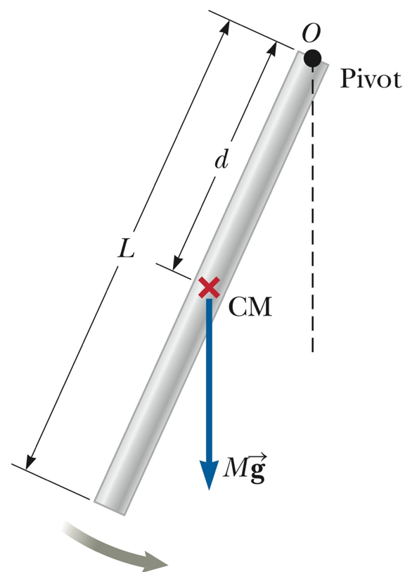 Pivot
d
L
СМ
VMg
