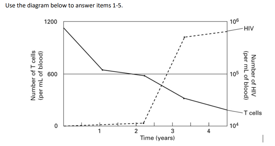 Use the diagram below to answer items 1-5.
1200
106
HIV
600
105
T cells
104
1
2
3
4
Time (years)
Number of T cells
(per mL of blood)
(per mL of blood)
Number of HIV
