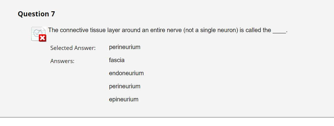 Question 7
The connective tissue layer around an entire nerve (not a single neuron) is called the
Selected Answer:
Answers:
perineurium
fascia
endoneurium
perineurium
epineurium