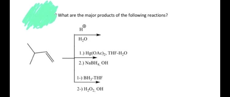 What are the major products of the following reactions?
H2O
1.) Hg(OAc)2, THF-H,O
2.) NABH4, OH
1-) ВН-THF
2-) H2O2 OH
