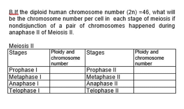 BJE the diploid human chromosome number (2n) =46, what will
be the chromosome number per cell in each stage of meiosis if
nondisjunction of a pair of chromosomes happened during
anaphase Il of Meiosis II.
Meiosis II
Stages
Ploidy and
chromosome
number
Ploidy and
chromosome
number
Stages
Prophase I
Metaphase I
Anaphase I
Telophase I
Prophase II
Metaphase II
Anaphase II
Telophase II
