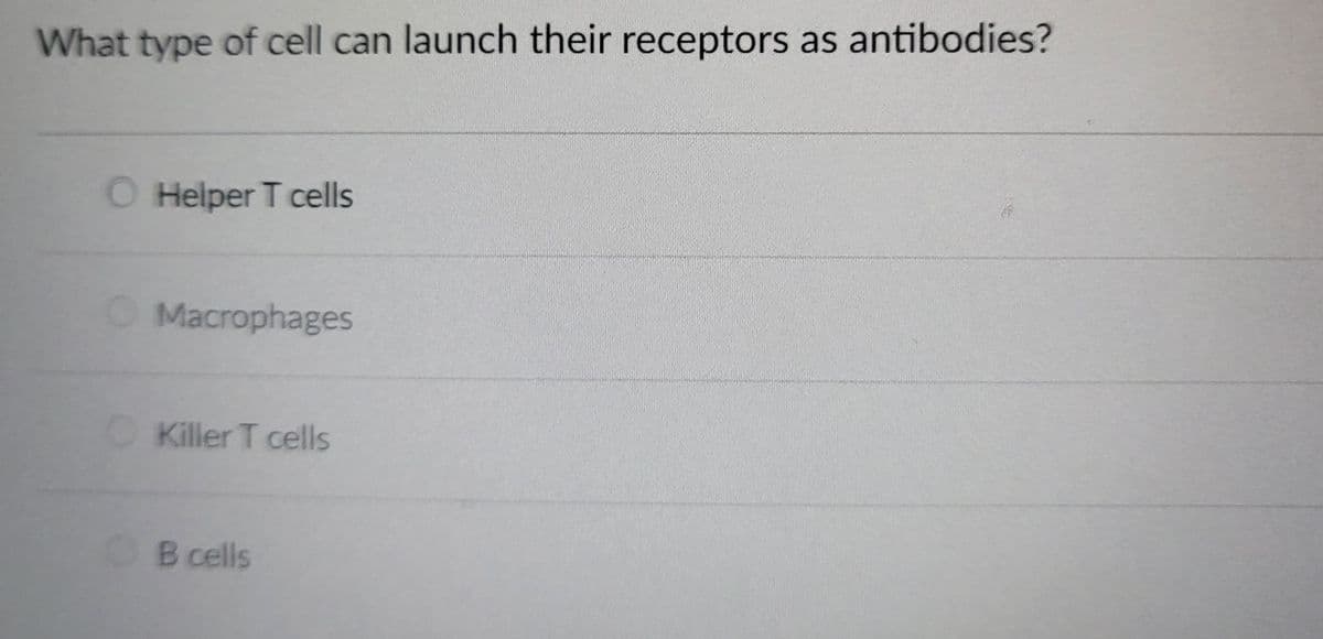 What type of cell can launch their receptors as antibodies?
O Helper T cells
Macrophages
Killer T cells
OB cells