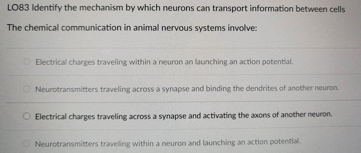 LO83 Identify the mechanism by which neurons can transport information between cells
The chemical communication in animal nervous systems involve:
Electrical charges traveling within a neuron an launching an action potential.
Neurotransmitters traveling across a synapse and binding the dendrites of another neuron.
Electrical charges traveling across a synapse and activating the axons of another neuron.
ONeurotransmitters traveling within a neuron and launching an action potential.