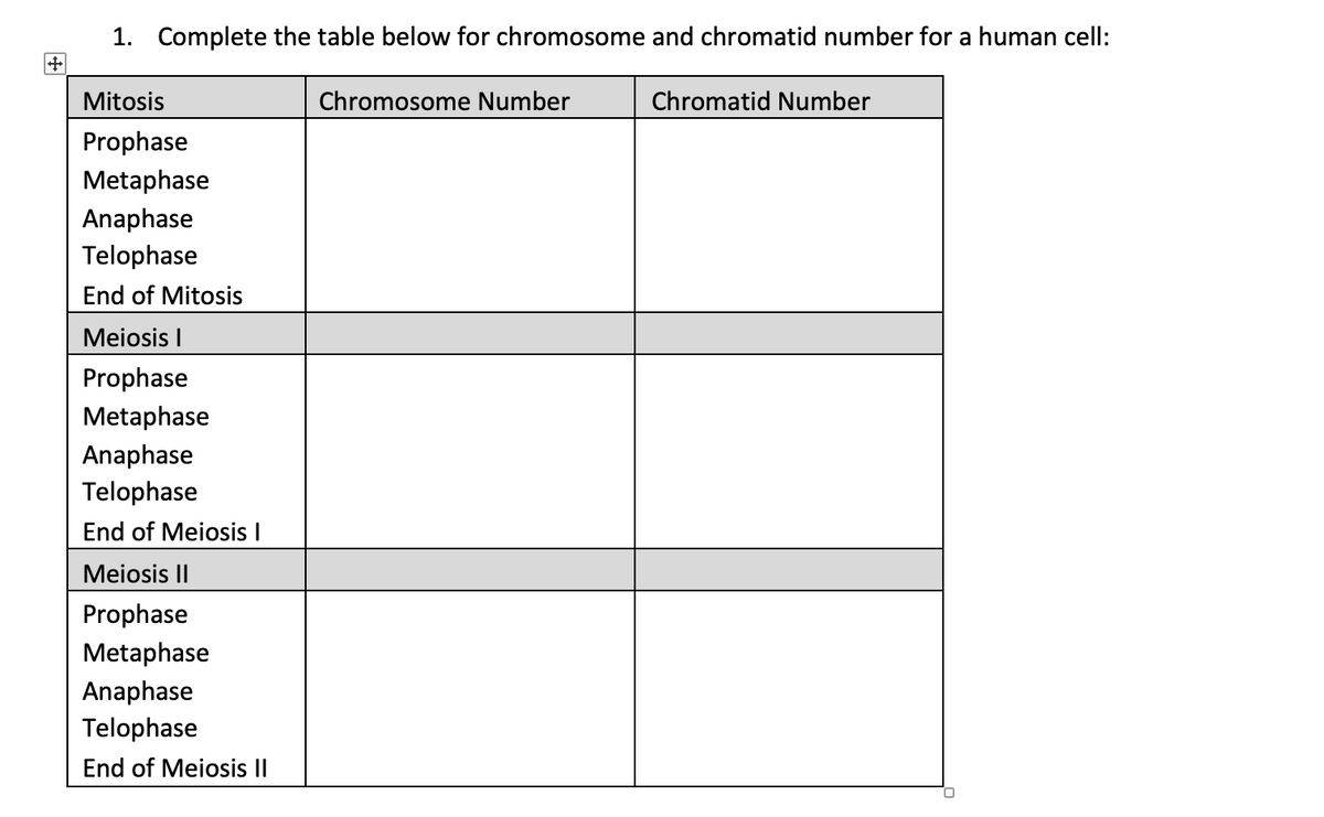 +
1. Complete the table below for chromosome and chromatid number for a human cell:
Mitosis
Prophase
Metaphase
Anaphase
Telophase
End of Mitosis
Meiosis I
Prophase
Metaphase
Anaphase
Telophase
End of Meiosis I
Meiosis II
Prophase
Metaphase
Anaphase
Telophase
End of Meiosis II
Chromosome Number
Chromatid Number