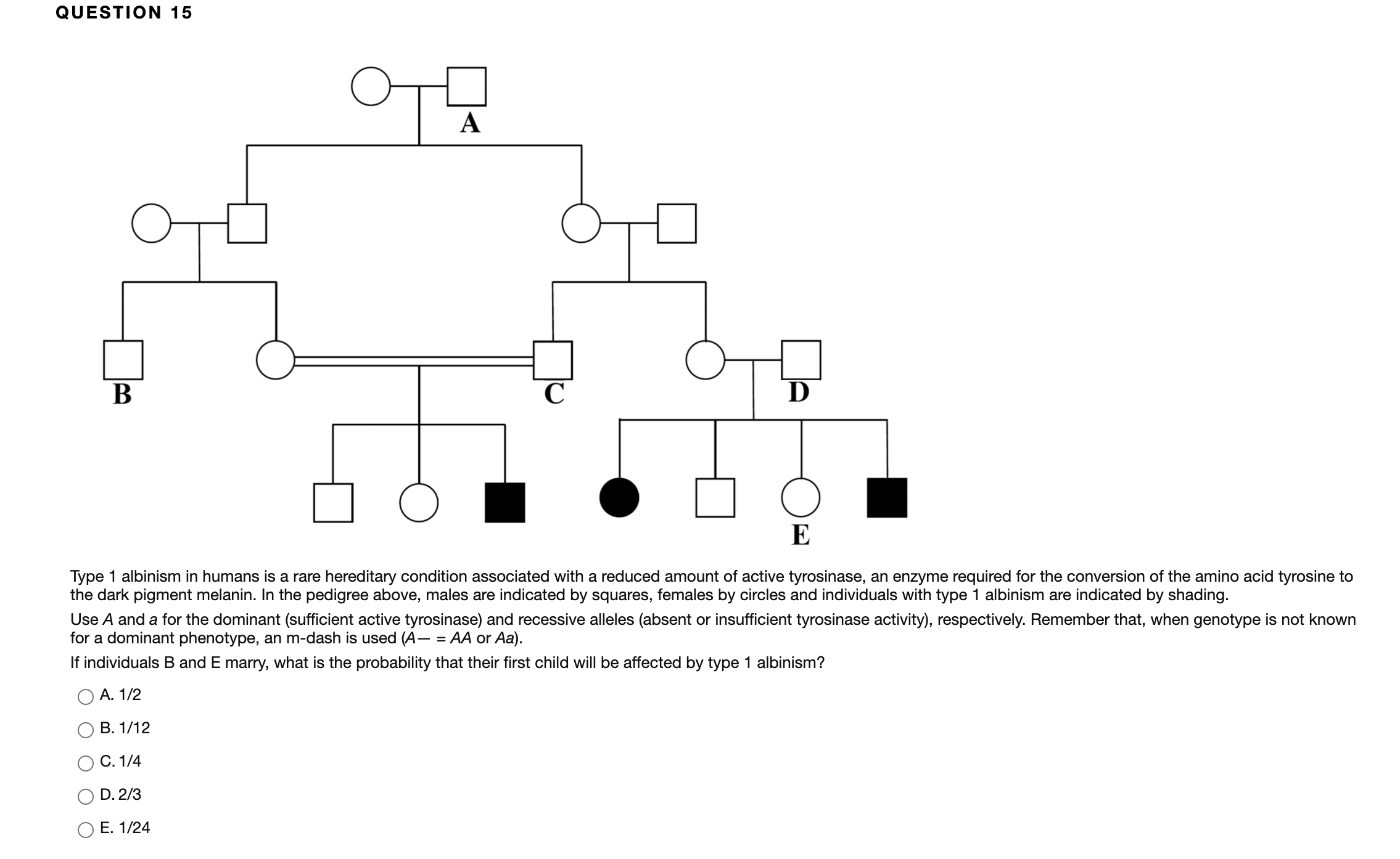 Type 1 albinism in humans is a rare hereditary condition associated with a reduced amount of active tyrosinase, an enzyme required for the conversion of the amino acid tyrosine to
the dark pigment melanin. In the pedigree above, males are indicated by squares, females by circles and individuals with type 1 albinism are indicated by shading.
Use A and a for the dominant (sufficient active tyrosinase) and recessive alleles (absent or insufficient tyrosinase activity), respectively. Remember that, when genotype is not known
for a dominant phenotype, an m-dash is used (A– = AA or Aa).
If individuals B and E marry, what is the probability that their first child will be affected by type 1 albinism?
А. 1/2
В. 1/12
С. 1/4
D. 2/3
O E. 1/24

