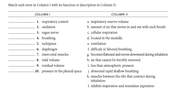 Match each term in Column I with its function or description in Column II.
COLUMN I
COLUMN II
1. respiratory control
a. inspiratory reserve volume
b. amount of air that moves in and out with each breath
2. oxidation
c. elular respiration
3. vagus nerve
4. breathing
5. tachypnea
6. diaphragm
7. intercostal muscles
8. tidal volume
9. residual volume
10. pressure in the pleural space j. abnormal rapid shallow breathing
d. located in the medulla
e. ventilation
f. difficult or labored breathing
g. becomes flattened and moves downward during inhalation
h. air that cannot be forcibly removed
i. less than atmospheric pressure
k muscles between the ribs that contract during
inhalation
1. inhibits inspiration and stimulates expiration
