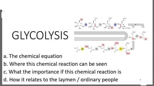 GLYCOLYSIS
a. The chemical equation
b. Where this chemical reaction can be seen
c. What the importance if this chemical reaction is
d. How it relates to the laymen / ordinary people
