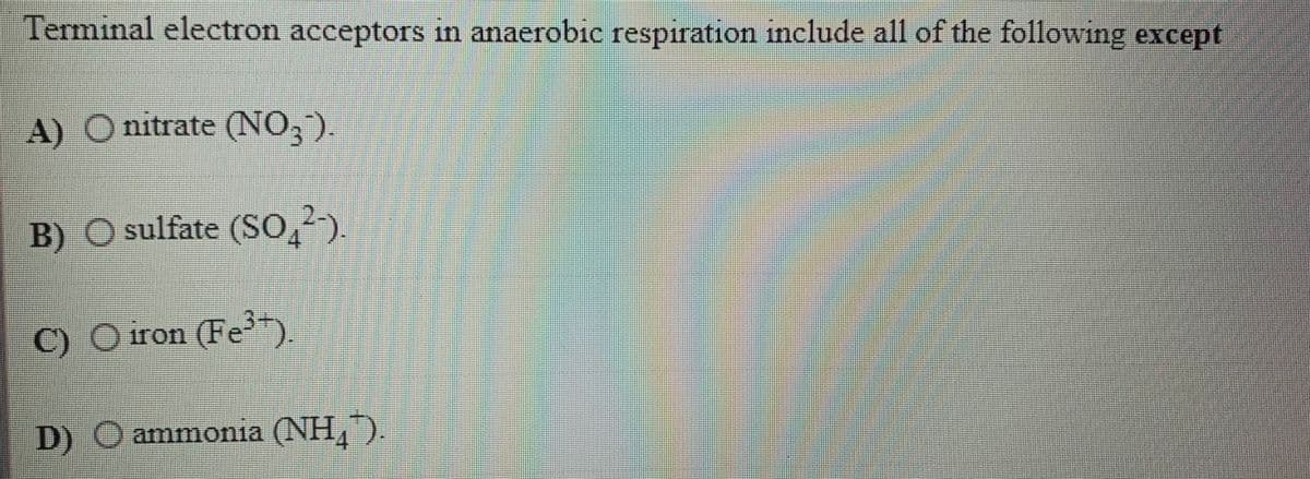 Terminal electron acceptors in anaerobic respiration include all of the following except
A) O nitrate (NO,).
B) O sulfate (So,2).
C) O iron (Fe).
D) O ammonia (NH,)
