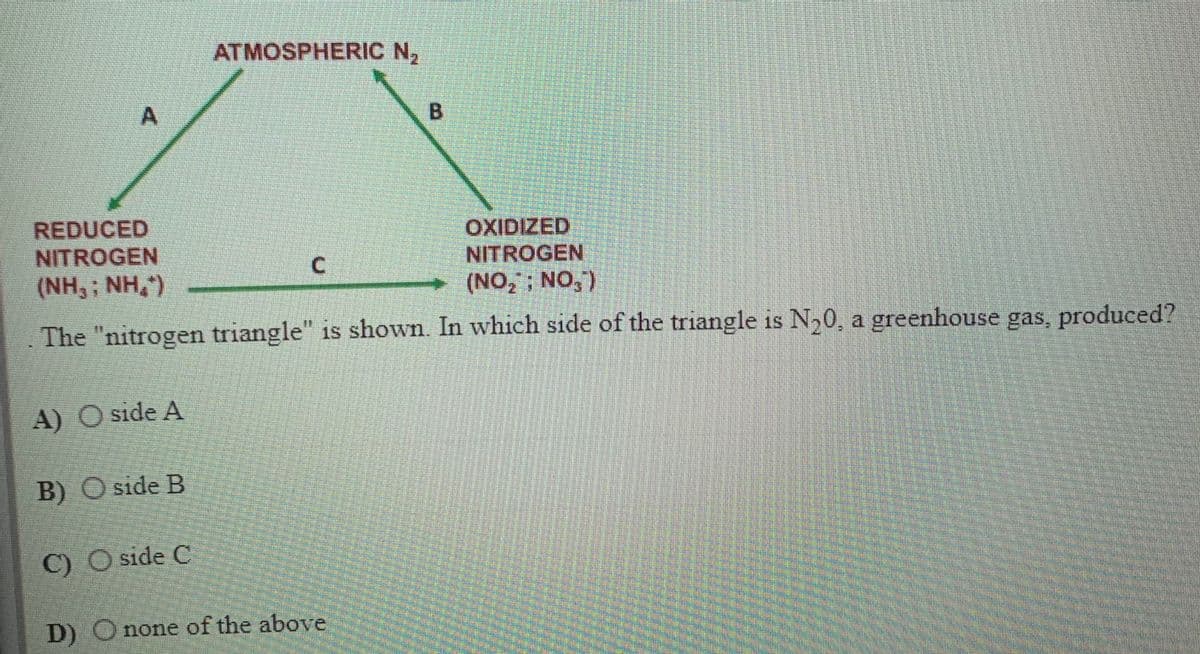 ATMOSPHERIC N,
B.
REDUCED
NITROGEN
OXIDIZED
NITROGEN
(NH,; NH,")
(NO,; NO,
The "nitrogen triangle" is shown. In which side of the triangle is N20, a greenhouse gas, produced?
A) O side A
B) O side B
C) O side C
D) O none of the above
