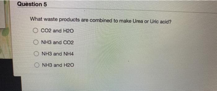 Quèstion 5
What waste products are combined to make Urea or Uric acid?
O CO2 and H2O
NH3 and CO2
O NH3 and NH4
O NH3 and H2O
