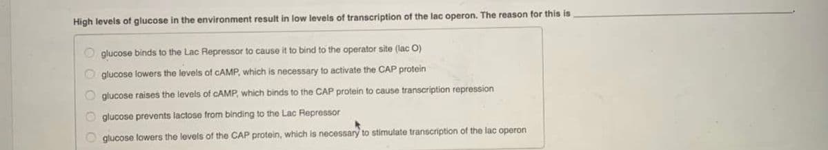 High levels of glucose in the environment result in low levels of transcription of the lac operon. The reason for this is
O glucose binds to the Lac Repressor to cause it to bind to the operator site (lac O)
glucose lowers the levels of CAMP, which is necessary to activate the CAP protein
O giucose raises the levels of CAMP, which binds to the CAP protein to cause transcription repression
O glucose prevents lactose from binding to the Lac Repressor
O glucose lowers the levels of the CAP protein, which is necessary to stimulate transcription of the lac operon
