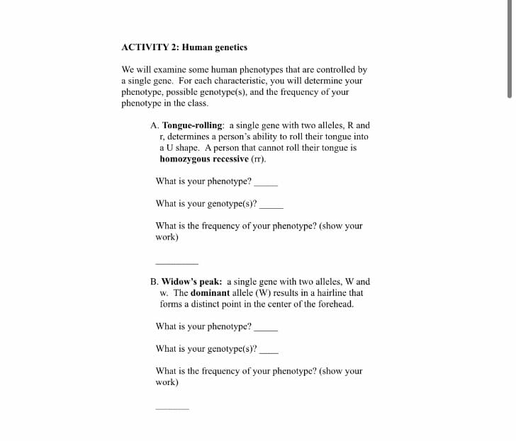 ACTIVITY 2: Human genetics
We will examine some human phenotypes that are controlled by
a single gene. For each characteristic, you will determine your
phenotype, possible genotype(s), and the frequency of your
phenotype in the class.
A. Tongue-rolling: a single gene with two alleles, R and
r, determines a person's ability to roll their tongue into
a U shape. A person that cannot roll their tongue is
homozygous recessive (rr).
What is your phenotype?
What is your genotype(s)?
What is the frequency of your phenotype? (show your
work)
B. Widow's peak: a single gene with two alleles, W and
w. The dominant allele (W) results in a hairline that
forms a distinct point in the center of the forehead.
What is your phenotype?
What is your genotype(s)?
What is the frequency of your phenotype? (show your
work)
