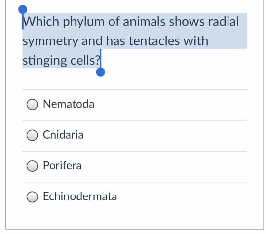 Which phylum of animals shows radial
symmetry and has tentacles with
stinging cells?
Nematoda
Cnidaria
Porifera
Echinodermata

