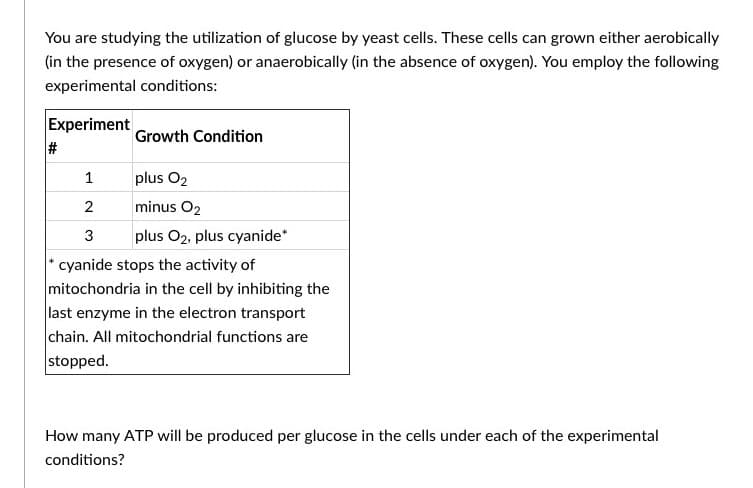 You are studying the utilization of glucose by yeast cells. These cells can grown either aerobically
(in the presence of oxygen) or anaerobically (in the absence of oxygen). You employ the following
experimental conditions:
Experiment
#
Growth Condition
1
plus 02
2
minus O₂
3
plus O2, plus cyanide*
*cyanide stops the activity of
mitochondria in the cell by inhibiting the
last enzyme in the electron transport
chain. All mitochondrial functions are
stopped.
How many ATP will be produced per glucose in the cells under each of the experimental
conditions?