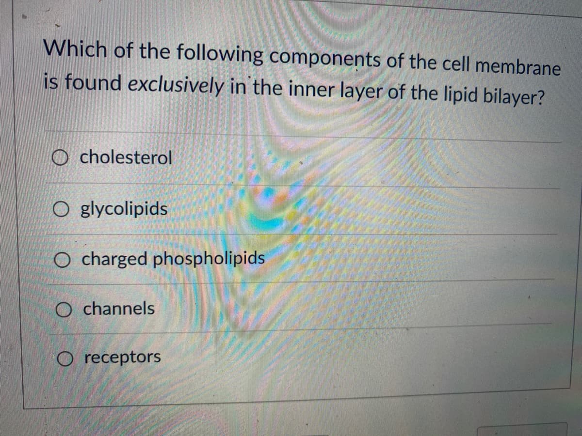 Which of the following components of the cell membrane
is found exclusively in the inner layer of the lipid bilayer?
Ocholesterol
O glycolipids
O charged phospholipids
O channels
O receptors