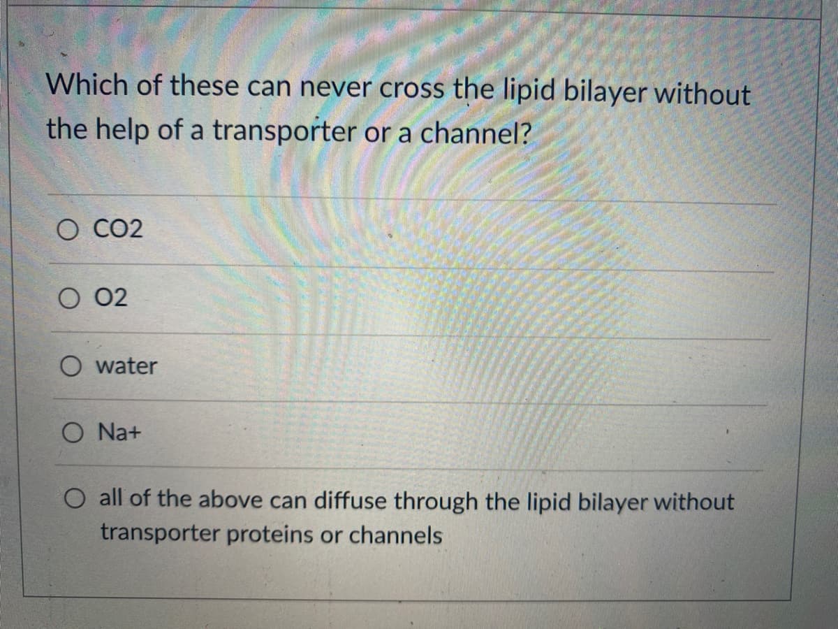 Which of these can never cross the lipid bilayer without
the help of a transporter or a channel?
O CO2
O 02
O water
O Na+
O all of the above can diffuse through the lipid bilayer without
transporter proteins or channels