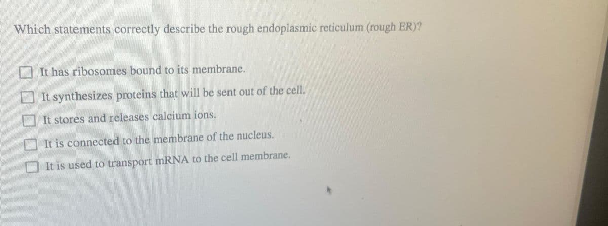 Which statements correctly describe the rough endoplasmic reticulum (rough ER)?
It has ribosomes bound to its membrane.
It synthesizes proteins that will be sent out of the cell.
It stores and releases calcium ions.
It is connected to the membrane of the nucleus.
It is used to transport mRNA to the cell membrane.
