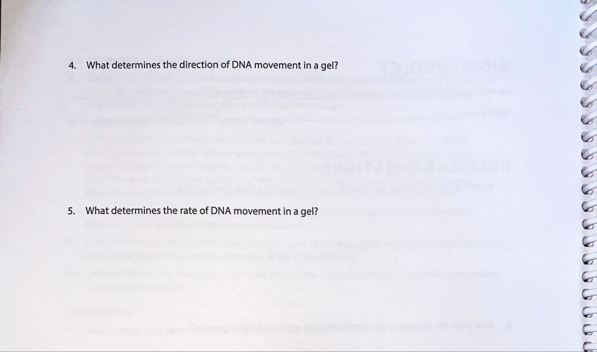 4. What determines the direction of DNA movement in a gel?
5. What determines the rate of DNA movement in a gel?
