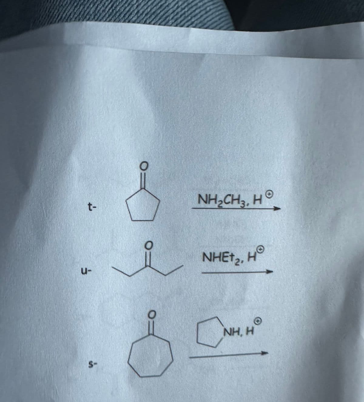 t-
U-
S-
요
s
O
NHẠCH3, H®
NHE+₂, HⓇ
CN
Ⓒ
ΝΗ, Η