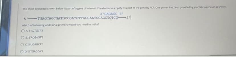 The short sequence shown below is part of a gene of interest. You decide to amplify this part of the gene by PCR. One primer has been provided by your lab supervisor as shown
3 GAGAGC 51
5'TGAGCAGCGATGCCGATGTTGCCAATGCAGCTCTCG-3'|
Which of following additional primers would you need to make?
OA S'ACTGCT'3
OB. S'ACGAGT3
OC. SUGAGCA'S
D. STGAGCA'3