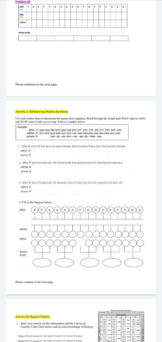 Problem #2
TACT TAAA A ATG TTC A
DNA
A
(TS)
DNA
(CS)
MRNA
Amino Acids:
Please continue to the next page.
Activity 2- Reinforcing Protein Synthesis
Use your codon chart to determine the amino acid sequence. Read through the strand and ONLY start on AUG
and STOP when it tells you to stop. Follow example below:
Example:
DNA > AGA CGG TAC CTC CGG TGG GTG CTT GTC TGT ATC CTT CTC AGT ATC
MRNA > UCU GCC AUG GAG GC ACC CAC GAA CAG ACA UAG GAA GAG UCA UAG
protein >
start - glu - ala -thre - hist – asp -glu – threo - stop
1. DNA → CCT CTT TAC ACA CGG AGG GTA CGC TAT TCTATG ATT ACA CGG TTG CGA TCCATA ATC
MRNA
protein →
2 DNA AGA ACA TAA TAC CTC TTA ACA CTC TAA AGA CCA GCA CTC CGA TGA ACT GGA GCA
mRNA
pratein >
3. DNA > TAC CTT GGG GAA TAT ACA CGC TGG CTT CGA TGA ATC CGT ACG GTA CTCGCC ATC
MRNA >
protein →
4. Fill in the diagram below.
DNA
MRNA
ERNA
Amino
Acids
Please continue to the next puge.
Universal Genete Code Chart
Mensenger RNA Codans and the Amina Asd for Which They Code
Activity III- Regents Practice
SECONDBASE
A
UM
UAC
UAA
TY
1. Base your answer on the information and the Universal
Genetic Code Chart below and on your knowledge of biology.
ocu)
oco
SPRO
CA
OCA
CAR
oca
Can GLM
CAS
Original DNA for protein X: TAC-GGC-TTA-GCT-CcC-GOG-CTA-AAA
AMI
LE MO HA
AAA
Mutated DNA for proiein X: TAC-GGC-TTG-GCT-CCT-GCG-CTA-AAA
LY
ANG
