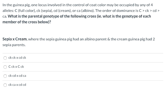 In the guinea pig, one locus involved in the control of coat color may be occupied by any of 4
alleles: C (full color), ck (sepia), cd (cream), or ca (albino). The order of dominance is C > ck > cd >
ca. What is the parental genotype of the following cross (ie. what is the genotype of each
member of the cross below)?
Sepia x Cream, where the sepia guinea pig had an albino parent & the cream guinea pig had 2
sepia parents.
ck ck x cd ck
O CckxCck
ck cd x cd ca
ck ca x cd cd