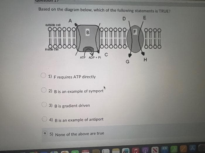 Based on the diagram below, which of the following statements is TRUE?
D
E
A
outside cell
inside cell
B
ATP ADP+ Pi
1) F requires ATP directly
2) B is an example of symport
3) B is gradient driven
4) B is an example of antiport
5) None of the above are true
C
G
F iiii
L
H
(CO
N