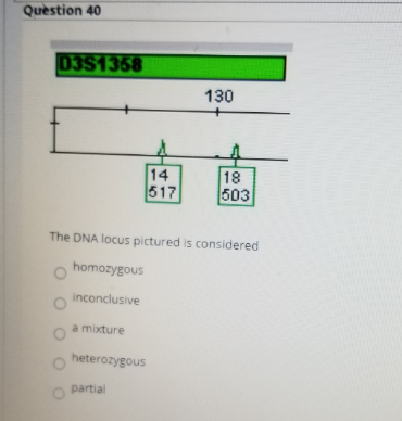 Quèstion 40
D3S1358
130
14
517
18
503
The DNA locus pictured is considered
homozygous
inconclusive
a mixture
heterozygous
partial
