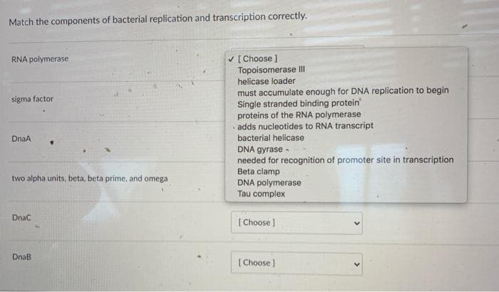 Match the components of bacterial replication and transcription correctly.
v [Choose ]
Topoisomerase Il
helicase loader
RNA polymerase
must accumulate enough for DNA replication to begin
Single stranded binding protein
sigma factor
proteins of the RNA polymerase
adds nucleotides to RNA transcript
DnaA
bacterial helicase
DNA gyrase -
needed for recognition of promoter site in transcription
Beta clamp
DNA polymerase
Tau complex
two alpha units, beta, beta prime, and omega
Dnac
[ Choose )
DnaB
( Choose]
