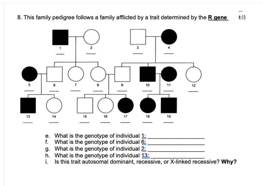 8. This family pedigree follows a family afflicted by a trait determined by the R gene
IdA
2
9
10
11
12
13
14
15
16
17
18
19
e. What is the genotype of individual 1:
f. What is the genotype of individual 6:
g. What is the genotype of individual 2:
h. What is the genotype of individual 13:
i. Is this trait autosomal dominant, recessive, or X-linked recessive? Why?
|
