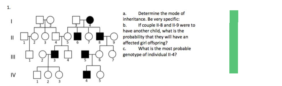1.
||
|||
IV
49
1 2 3
a.
Determine the mode of
inheritance. Be very specific:
b.
If couple II-8 and II-9 were to
have another child, what is the
probability that they will have an
affected girl offspring?
C.
What is the most probable
genotype of individual II-4?