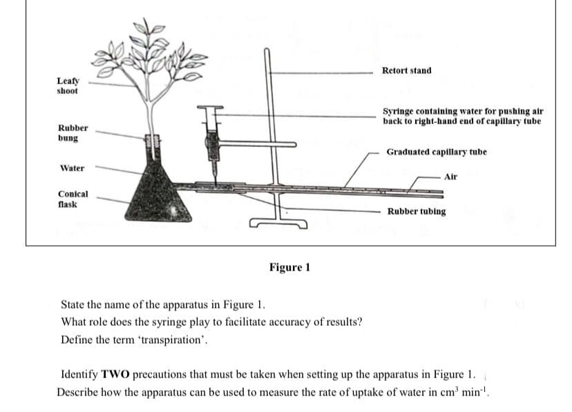 Retort stand
Leafy
shoot
Syringe containing water for pushing air
back to right-hand end of capillary tube
Rubber
bung
Graduated capillary tube
Water
Air
Conical
flask
Rubber tubing
Figure 1
State the name of the apparatus in Figure 1.
What role does the syringe play to facilitate accuracy of results?
Define the term transpiration'.
Identify TWO precautions that must be taken when setting up the apparatus in Figure 1.
Describe how the apparatus can be used to measure the rate of uptake of water in cm min'.
