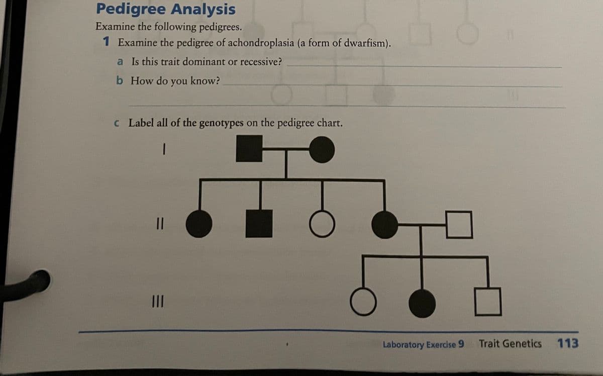 Pedigree Analysis
Examine the following pedigrees.
1 Examine the pedigree of achondroplasia (a form of dwarfism).
a Is this trait dominant or recessive?
b How do
you
know?
c Label all of the genotypes on the pedigree chart.
II
Laboratory Exercise 9
Trait Genetics 113
%3D
