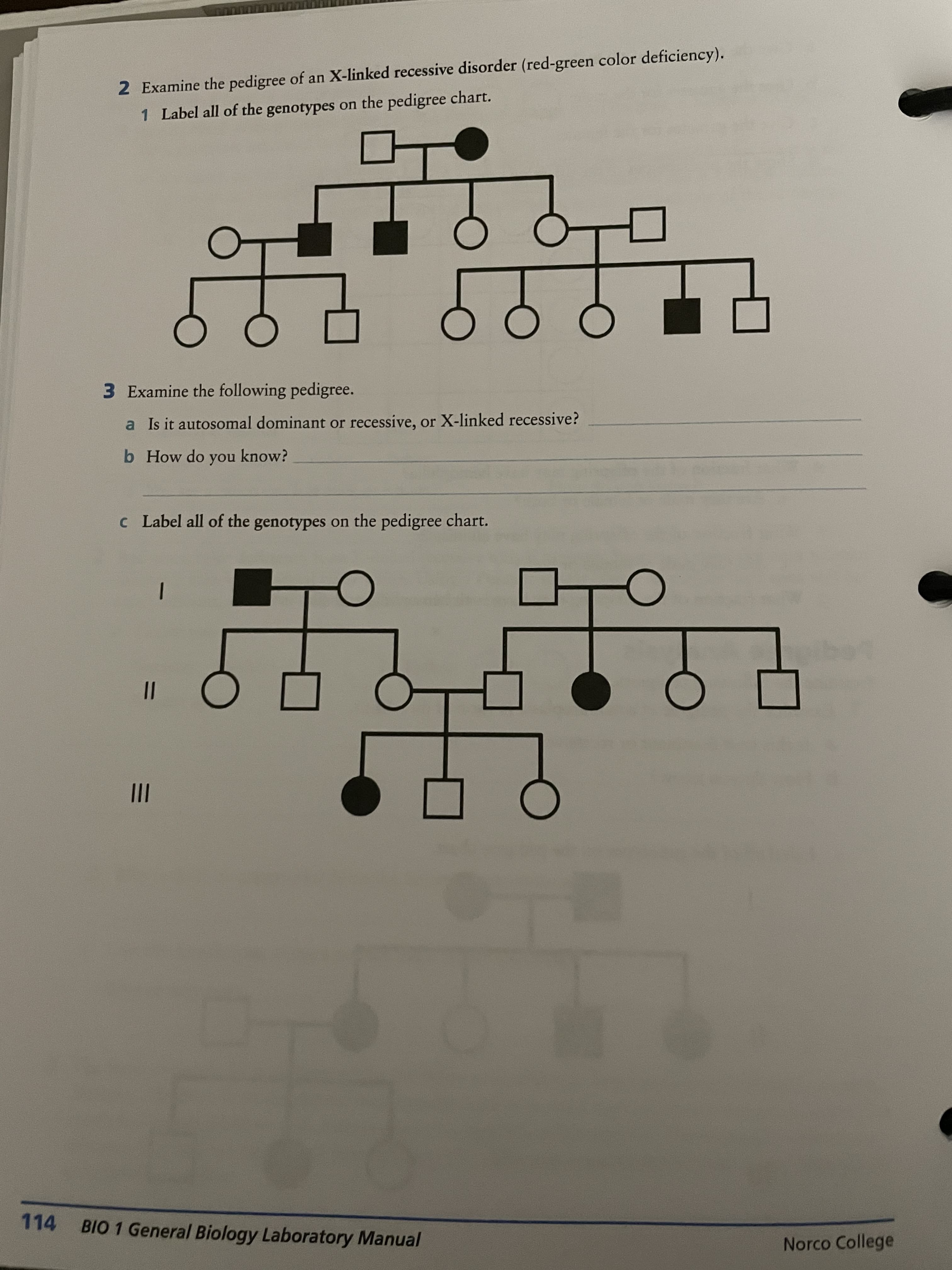 %3D
2 Examine the pedigree of an X-linked recessive disorder (red-green color deficiency).
1 Label all of the genotypes on the pedigree chart.
3 Examine the following pedigree.
a Is it autosomal dominant or recessive, or X-linked recessive?
b How do you know?
c Label all of the genotypes on the pedigree chart.
II
114
BIO 1 General Biology Laboratory Manual
Norco College
