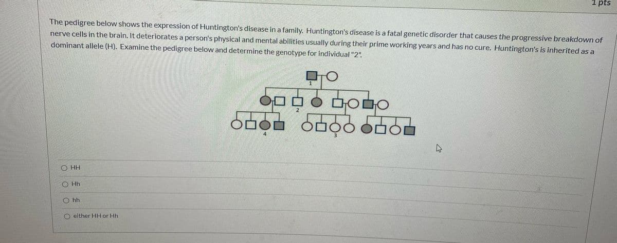 1 pts
The pedigree below shows the expression of Huntington's disease in a family. Huntington's disease is a fatal genetic disorder that causes the progressive breakdown of
nerve cells in the brain. It deteriorates a person's physical and mental abilities usually during their prime working years and has no cure. Huntington's is inherited as a
dominant allele (H). Examine the pedigree below and determine the genotype for individual "2"
DODO0O
2.
O HH
O Hh
О h
O either HH or Hh
