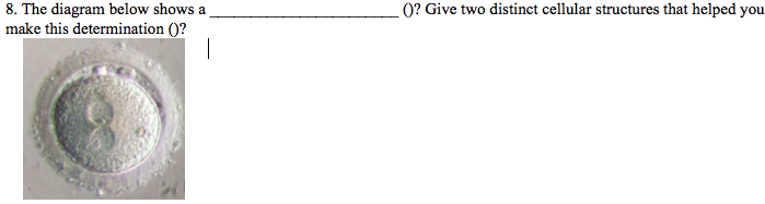 8. The diagram below shows a
make this determination ()?
0? Give two distinct cellular structures that helped you
