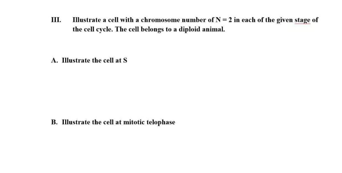III.
Illustrate a cell with a chromosome number of N = 2 in each of the given stage of
the cell cycle. The cell belongs to a diploid animal.
A. Illustrate the cell at S
B. Illustrate the cell at mitotic telophase