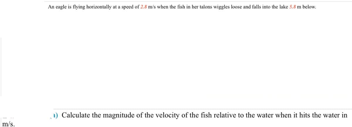 m/s.
An eagle is flying horizontally at a speed of 2.8 m/s when the fish in her talons wiggles loose and falls into the lake 5.8 m below.
(₁) Calculate the magnitude of the velocity of the fish relative to the water when it hits the water in
