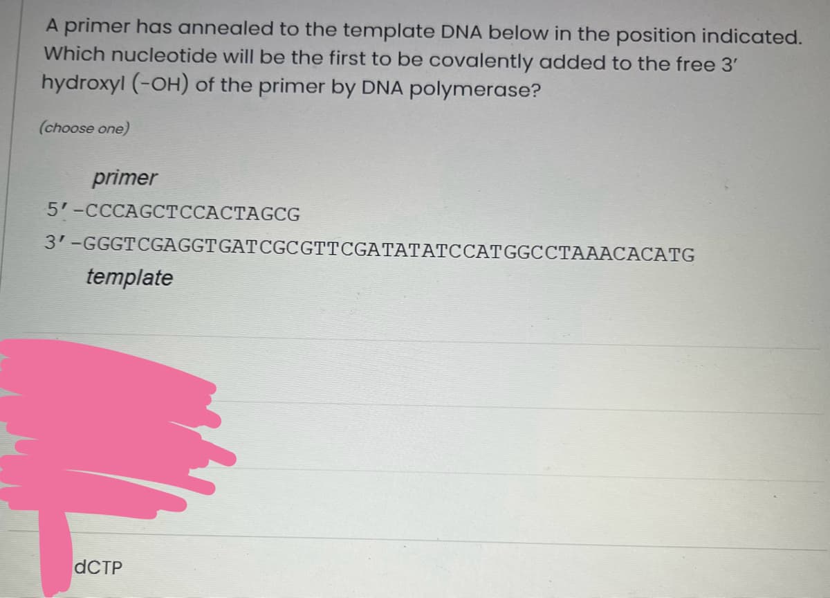 A primer has annealed to the template DNA below in the position indicated.
Which nucleotide will be the first to be covalently added to the free 3'
hydroxyl (-OH) of the primer by DNA polymerase?
(choose one)
primer
5'-CCCAGCTCCACTAGCG
3'-GGGTCGAGGTGATCGCGTTCGATATATCCATGGCCTAAACACATG
template
dCTP